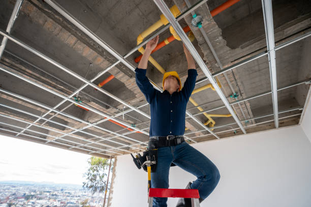 Best Clogged Drain Plumber  in Abita Springs, LA